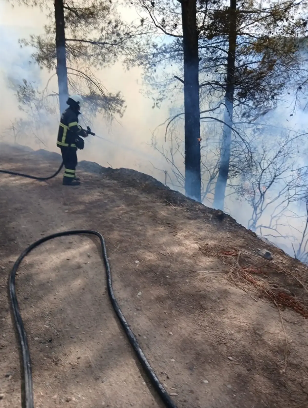 erzinde orman yangini kontrol altina alindi 3dItgkir