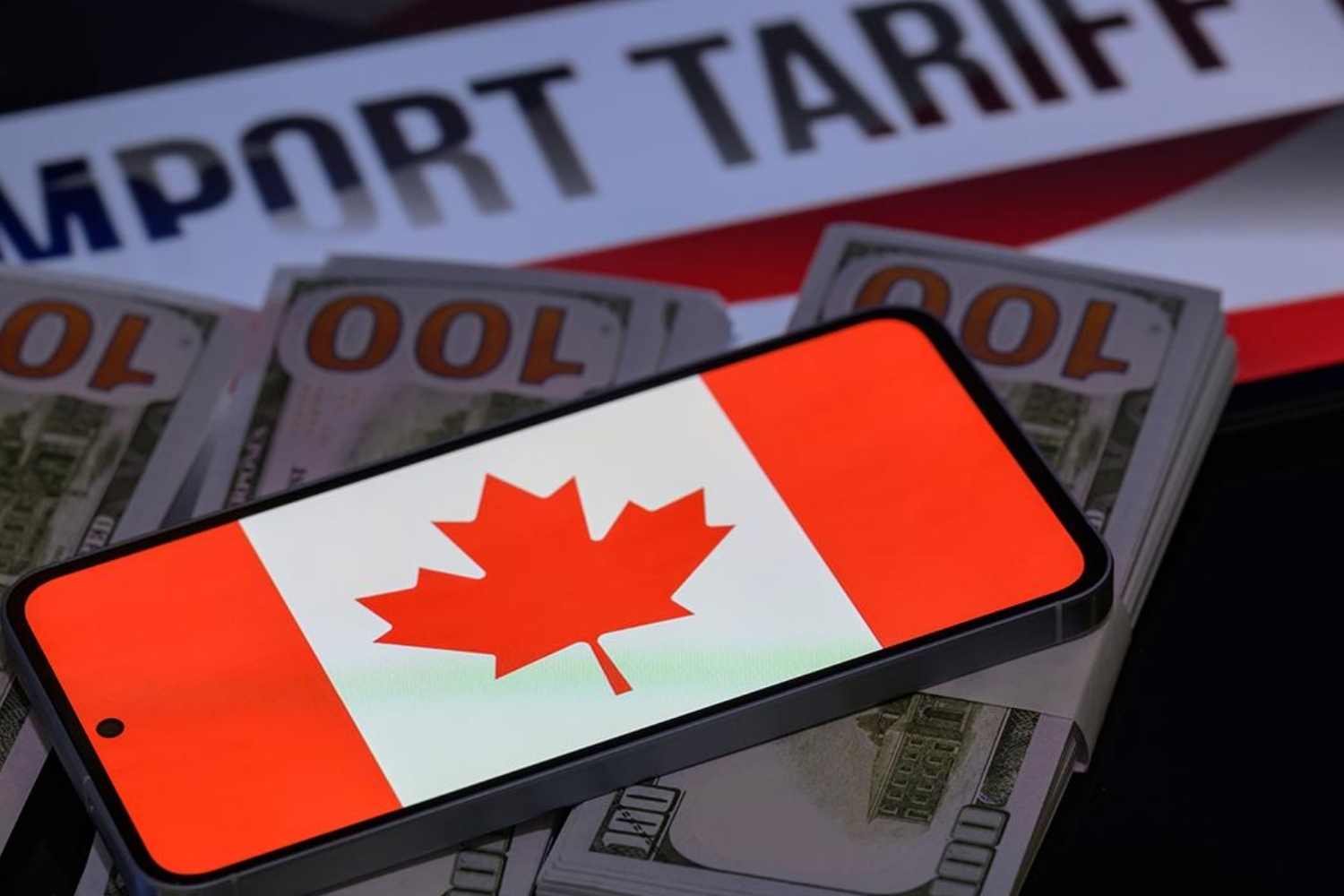 kanada abdnin tarifeleriyle mucadelede 141 milyar dolarlik harcamayi ongoren butce tasarisi sundu 9W5lxAW5.jpg